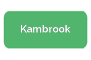 Ремонт парогенераторов Kambrook