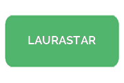 Ремонт парогенераторов LAURASTAR