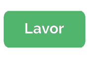 Ремонт парогенераторов Lavor
