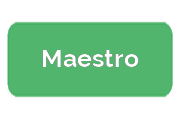 Ремонт парогенераторов Maestro
